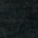 Coal